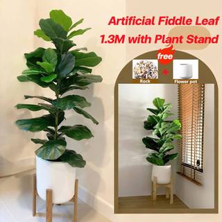 [send flower stand]Artificial Plant with pot big size living home decoration Ficus pandurata