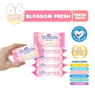 Kleenfant Baby Wipes Travel Pack 6x11 Sheets Mini Wipes Collection  Wet Wipes for Baby Pack of 1