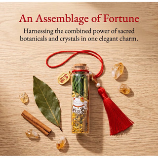 Ziyang Fengshui Lucky Charm Attract Wealth Bottle for Business with Red Tassel For Bag Home