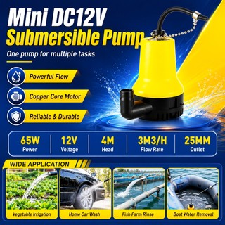 DC 12V Electric Pump Water Circulation Submersible Pump Irrigation Fountain Marine Bilge Pump