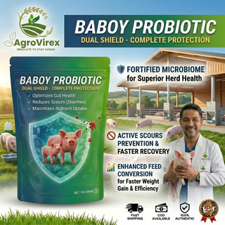 (Buy 1 Free 2) BABOY PROBIOTIC For Pigs 250g Pig Feed Additive Weight Booster Swine Growth Promoter
