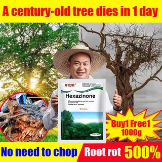 The roots rotted in 1 day! tree killer 1000g concentrated formula can kill trees weeds, bamboo tree