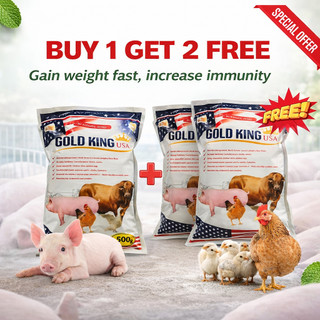 Gold King USA 250G Fast Weight Gain & Immunity Booster, Best Health Routine Suppleme