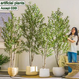【Ships locally】120/160/180 Artificial Olive Plant Potted Decorative Big Olive for Home Decoration