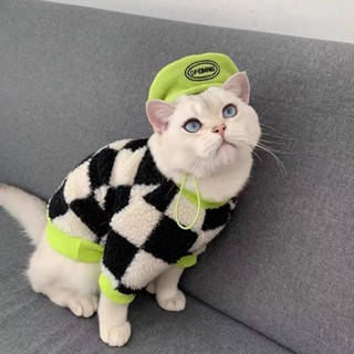 เสื้อผ้าสัตว์เลี้ยง เสื้อกันหนาว น่ารัก สีฟ้า สไตล์อังกฤษ แนวสตรีท เหมาะกับฤดูหนาว สําหรับแมว