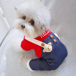 Pet Bichon Schnauzer เสื้อผ้าสัตว์เลี้ยง ผ้าฝ้าย สี่ขา แฟชั่นฤดูใบไม้ร่วง ฤดูหนาว สําหรับสุนัข