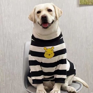 Golden Retriever Labrador เสื้อผ้าสุนัข ขนาดใหญ่ สไตล์สตรีท แฟชั่นฤดูใบไม้ผลิ ฤดูใบไม้ร่วง สําหรับสุนัข