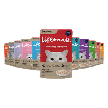 LIFEMATE Cat Wet Food อาหารเปียกแมว