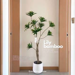 🪴𝙇𝙞𝙡𝙮 𝙗𝙖𝙢𝙗𝙤𝙤 𝙩𝙧𝙚𝙚 ~ ต้นไม้ปลอม { Lilly bamboo } ต้มไม้ปลอมแต่งห้อง ต้นไม้ตกแต่งคาเฟ่ ต้นไม้แต่งบ้าน 🌳