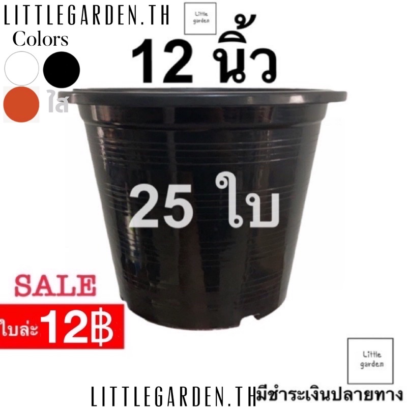 Little กระถางต้นไม้ 12 นิ้ว  25 ใบ(ดำเงาA+ ) (สีขาวออร่าA+ )(สีอิฐ )(สีใสA+ )(Air pot )