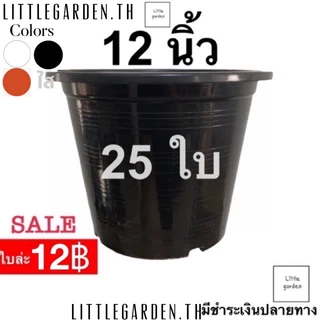 Little กระถางต้นไม้ 12 นิ้ว 25 ใบ(ดำเงาA+🖤) (สีขาวออร่าA+🤍)(สีอิฐ🧱)(สีใสA+💎)(Air pot🍀)