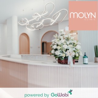 [E-voucher]MOLYN Clinic-   เลเซอร์กำจัดขนถาวรทั่วเรือนร่างด้วย Diode - 12 บริเวณ (8 ครั้ง/1 ปี)  (60 min)