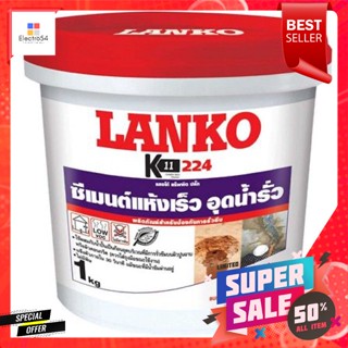 WIN HOMEE ซีเมนต์ปลั๊ก LANKO 224 1 กก.