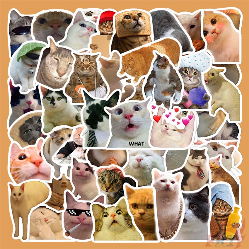❉ Q สติ๊กเกอร์อิโมจิแมวคนดังทางอินเทอร์เน็ตตลก 02 ❉ 50 ชิ้น/เซ็ต DIY แฟชั่นสติ๊กเกอร์ Doodle กันน้ํา