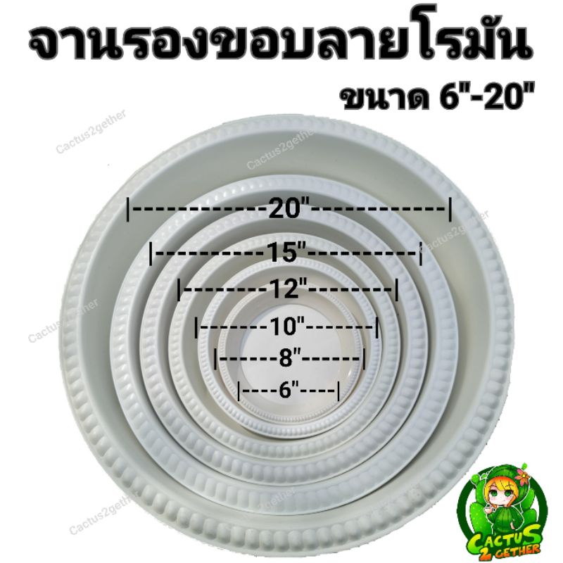 จานรองกระถางพลาสติกขอบลายโรมัน พื้นเรียบ วัดขนาดชัดเจน