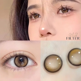 ส่งฟรีทุกขนส่ง📮 รุ่นSanctuary สีFILTER เลนส์รายปี(วัสดุSilicone hydrogel ค่าอมน้ำ50%)