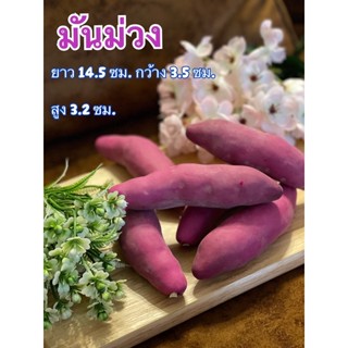 #มันม่วงปลอม #โมเดลมันม่วง ( ราคายกเซ็ท 3 ลูก)