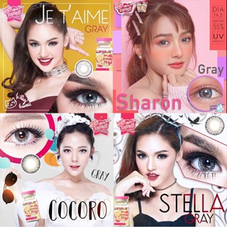 🔥โค้ด DET50MAY ลด50% 🔥 � MYPINK บิ๊กอาย สีเทา Bigeyes Gray Kitty Kawaii Contact Lens