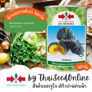 EWCOM เมล็ดพันธุ์ ฟักทองมรกตดำ 35 100 กรัม ตราศรแดง