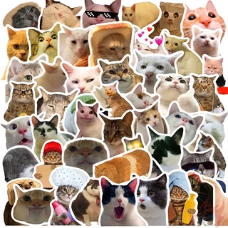 50ชิ้น/เซ็ต ❉ Q สติ๊กเกอร์อิโมจิแมวคนดังทางอินเทอร์เน็ตตลก 02 ❉ DIY แฟชั่นสติ๊กเกอร์ Doodle กันน้ํา