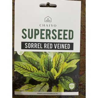 เมล็ดพันธุ์ ซอร์เรล ( Sorrel Red Veined Seed ) บรรจุ 130 เมล็ด