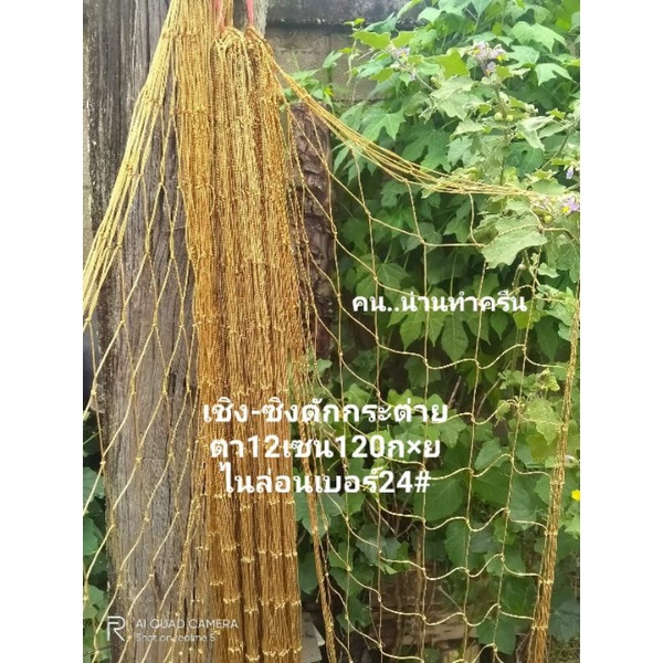 ตาขายดักกระต่ายหรือเชิง ซิง ขนาดตา12เชนกว้าง120×ยาว120เซนจำนวนชุดละ1ผืน ด้ายไนล่อนเบอร์24#