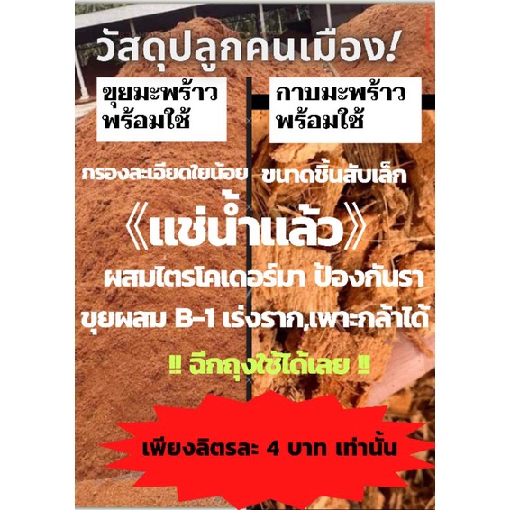 ขุยมะพร้าวพร้อมใช้ 4ลิตร (1กิโล )แช่น้ำแล้ว#กาบมะพร้าวแช่น้ำ พร้อมใช้ 1กิโล #ขุยมะพร้าวล้างสาร กาบมะพร้าวล้างสาร