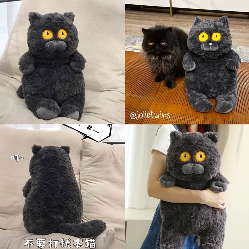 พร้อมส่ง PP ตุ๊กตา แมวดำตาเหลือง หน้ากวนๆ Black Cat ตุ๊กตาน่ารัก แมวดำนอดิก พร็อบแต่งห้อง 23037