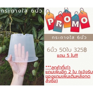 (มีโค้ดส่วนลด50-125฿) กระถางใส 6นิ้ว 50ใบ แถม5ใบ