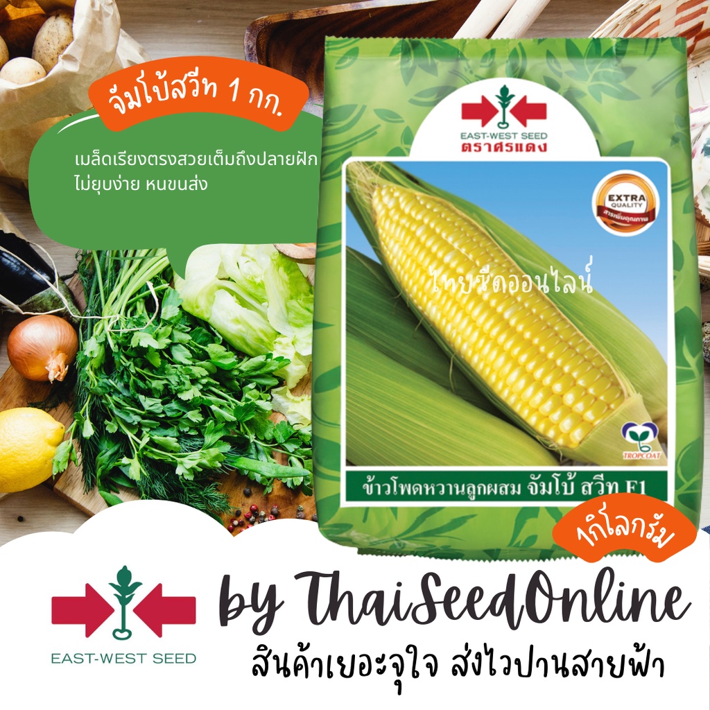 EWCOM 1 กก. ใหม่ หมดอายุ 9/2568 เมล็ดพันธุ์ ข้าวโพดหวานจัมโบ้สวีท ตราศรแดง Sweet Corn