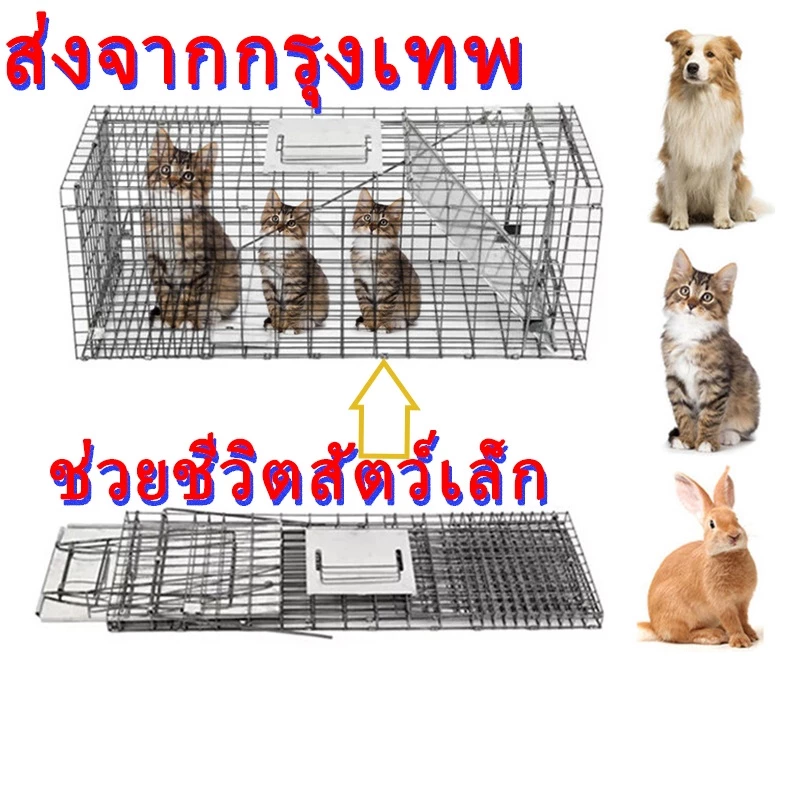 กรงดักแมว พับได้ thumbnail 3