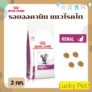 Royal Canin renal feline รอยอลคานิน อาหารเม็ดแมวโรคไต 2 กก.