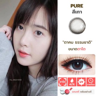 ไม่แถมตลับ Pure Gray (ตาโต) คอนแทคเลนส์ Wink