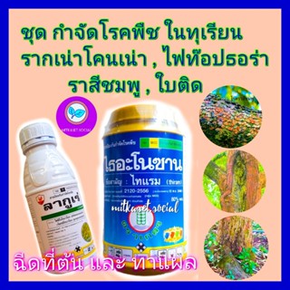 ชุด กำจัดโรคในุเรียน โรครากเน่าโคนเน่า ไฟท๊อปธอร่า ไธอะโนซาน (ไทแรม) 500g + ลากูเร่ 500 cc ยาทุเรียน ใบติด ใบจุด