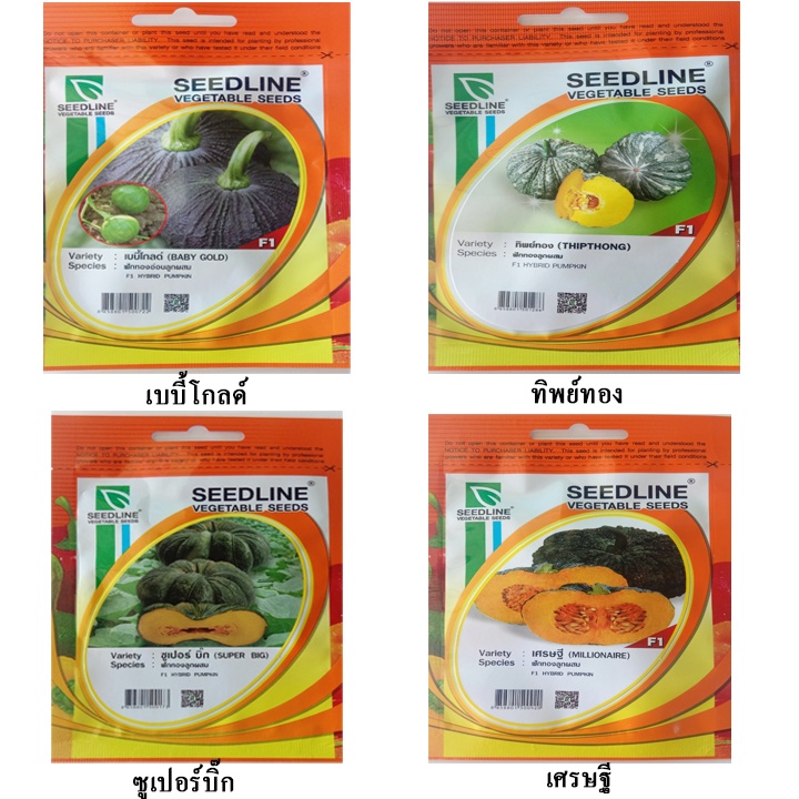 ฟักทองไข่ (pumpkin seeds) ฟักทองยาว ฟักทองอำไพ426 ฟักทองสีส้ม เมล็ดฟักทอง เมล็ดดฟักทองไข่ เมล็ดฟักทอ