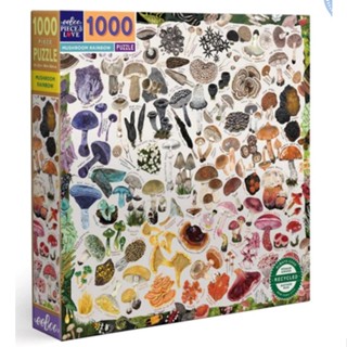 eeBoo Mushroom Rainbow 1000pc Square Puzzle จิ๊กซอว์รูปสายพันธุ์เห็ดแบบ 1000 ชิ้น