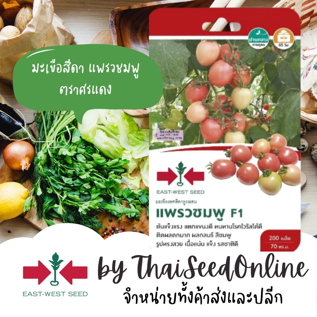 GGEW เมล็ดพันธุ์ซฟ มะเขือเทศสีดาแพรวชมพู 150เมล็ด ตราศรแดง มะเขือสีดา Tomato