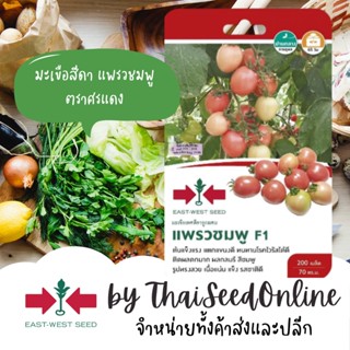 GGEW เมล็ดพันธุ์ซฟ มะเขือเทศสีดาแพรวชมพู 200เมล็ด ตราศรแดง มะเขือสีดา Tomato