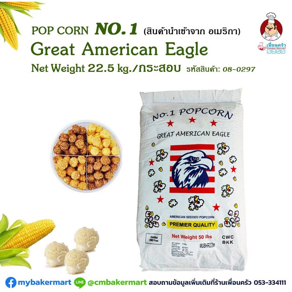 no-1-great-american-eagle