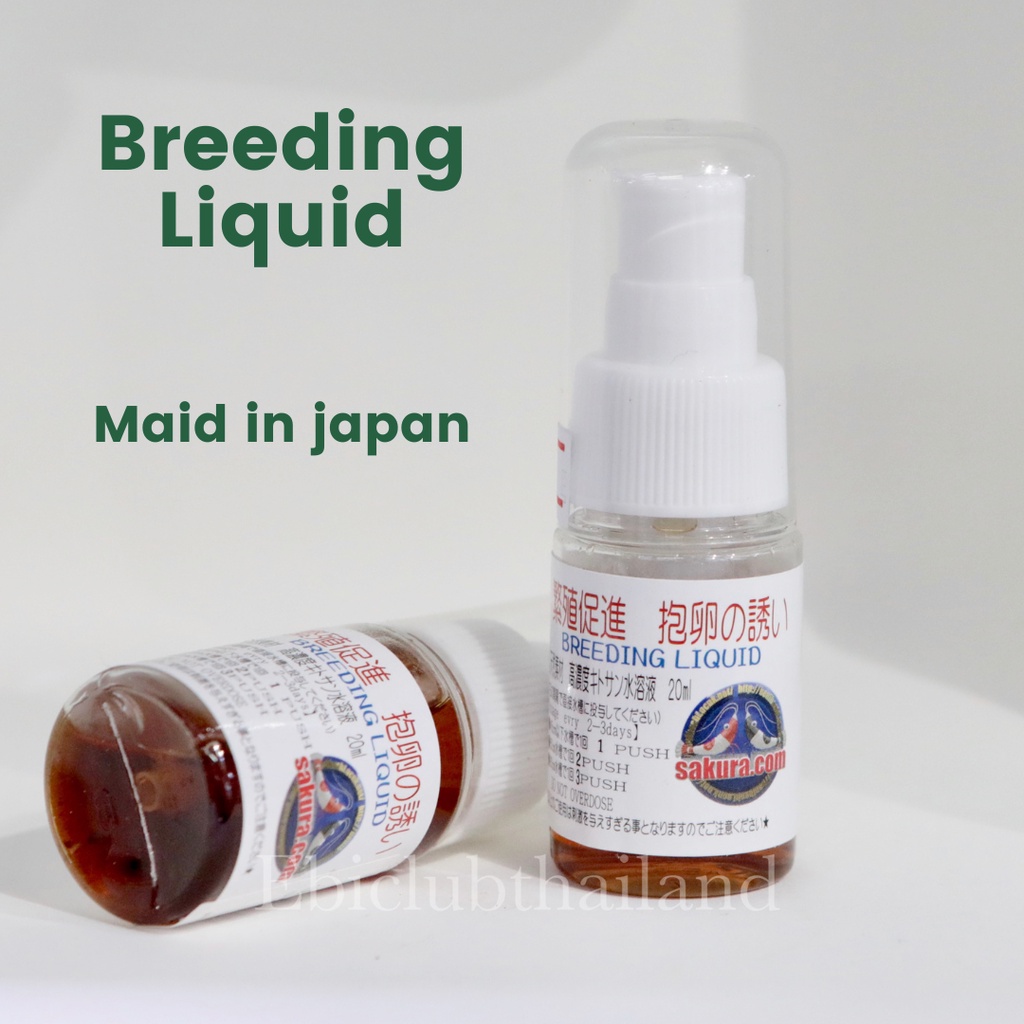 breeding liquid ช่วยให้กุ้งแคระได้ง่ายแข็งแรงตั้งไข่