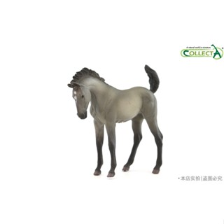 โมเดลม้าอเมริกัน 88546 American Mustang Horse-Rat Grey Rabbit Brown