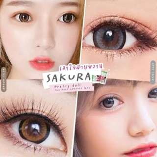 คอนแทคเลนส์ รุ่น Sakura ยี่ห้อ Pretty doll ตาโต มีสีเทา ตาล ฟ้า เขียว ม่วง สายตาปกติ