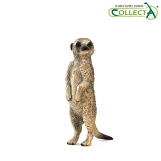 ของเล่นโมเดลสัตว์ป่า 88913 Mongoose Meerkat 2021