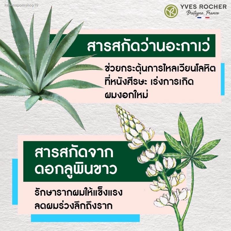 จัดส่งเฉพาะจุด จัดส่งในกรุงเทพฯฉลากไทย แท้ แชมพู Yves Rocher BHC Anti Hair Loss Shampoo 300ml &amp; ครีมนวด conditioner 200m