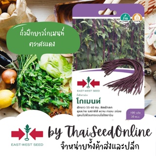 GGEW เมล็ดพันธุ์ ถั่วฝักยาวสีม่วงโกเมนท์ 100 เมล็ด ตราศรแดง Long Yard Bean