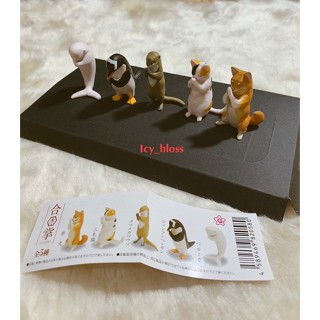 กาชาปอง  Animal Prayer gachapon