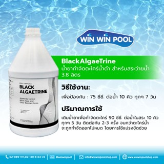 Black AlgaeTrine น้ำยากำจัดตระใคร่น้ำดำ สำหรับสระว่ายน้ำ ขนาด 3.8 ลิตร