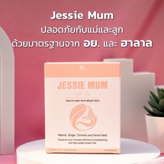 Jessie Mum 🍼👶อาหารเสริมกระตุ้นน้ำนมสำหรับคุณแม่ 1กล่อง 30 แคปซูล (🔥ส่งไว ส่งฟรี พร้อมส่ง)