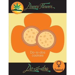 เมล็ดกัญชา ตัวเมีย Do-Si-Dos Cookies Feminized Cannabis Seeds เพศเมียโฟโต้