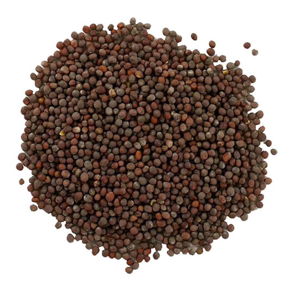 เมล็ดมัสตาร์ด 100 กรัม  Premium Quality Mustard Seeds 100g For Indian Food